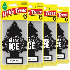 LITTLE TREES Hanging Car Air Freshener, Black Ice, 24-Pack, Long-Lasting Scent for Car & Home